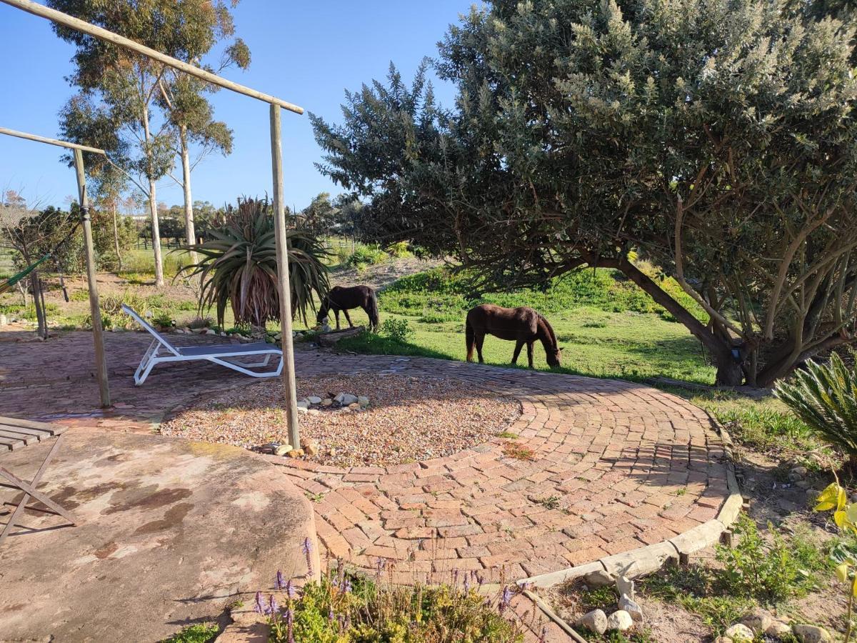 The Riverstone - Romantic Hideaway By The River - Loadshedding Free! Napier Exterior photo